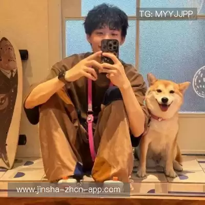 万桢翼